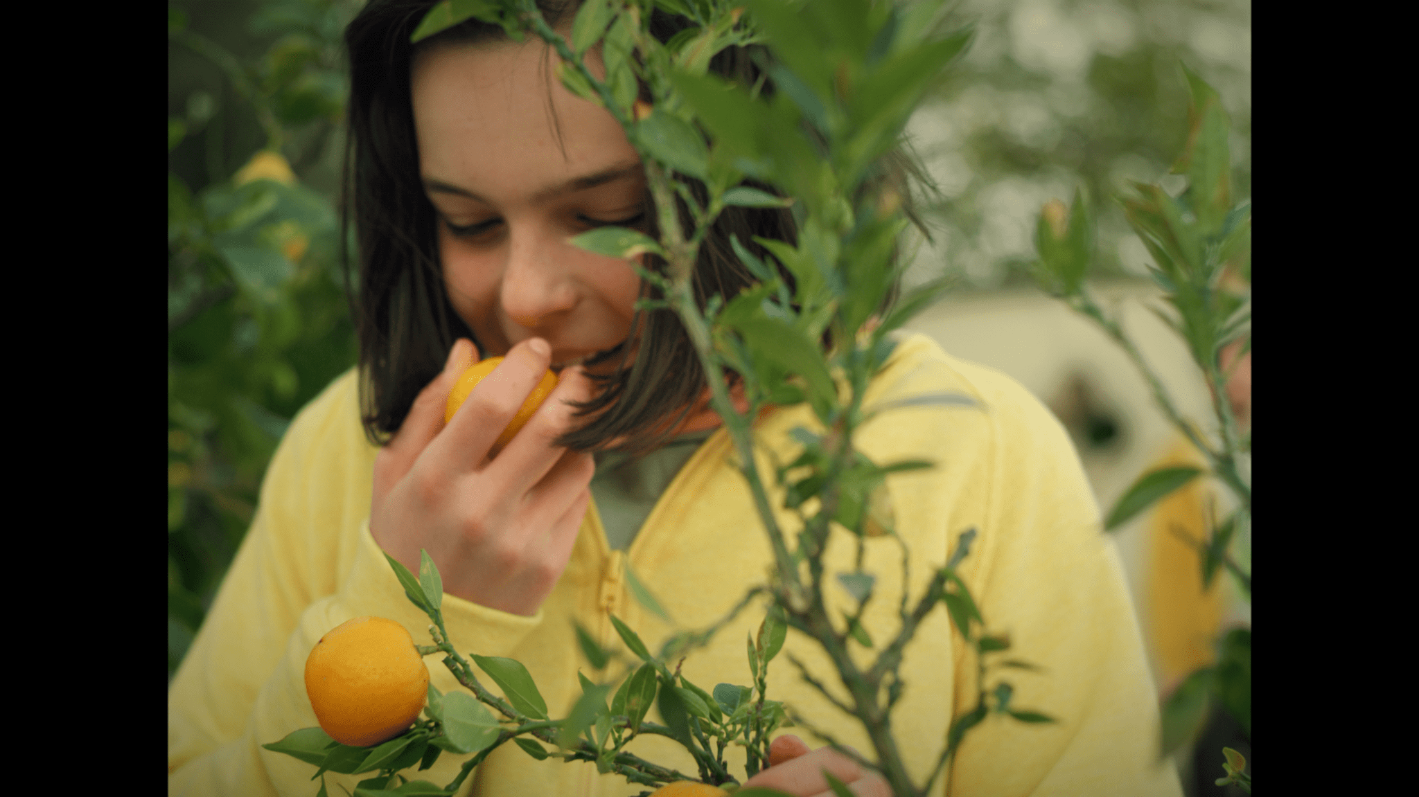 The Scent of Tangerine