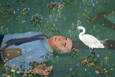 The Egret River